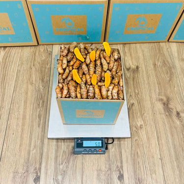 Turmeric Box Produce Box Tropical Fruit Box